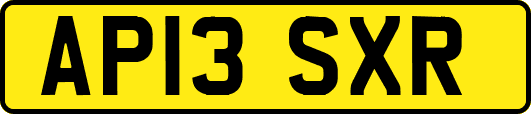 AP13SXR