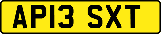 AP13SXT