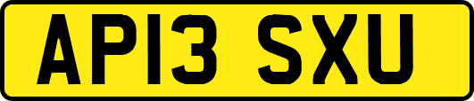 AP13SXU