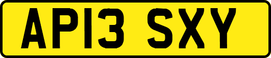 AP13SXY