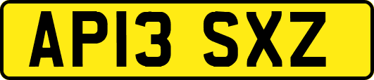 AP13SXZ