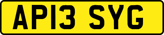 AP13SYG