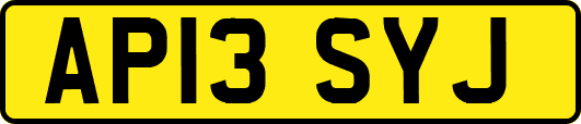 AP13SYJ