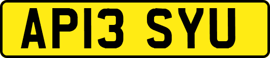 AP13SYU