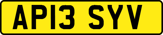 AP13SYV