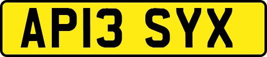 AP13SYX