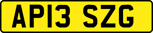 AP13SZG