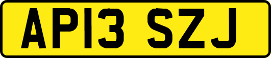 AP13SZJ