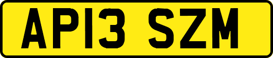 AP13SZM