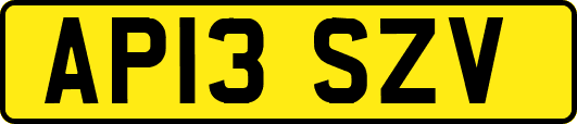 AP13SZV