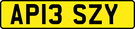 AP13SZY