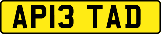 AP13TAD