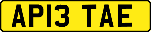 AP13TAE