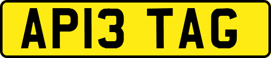 AP13TAG