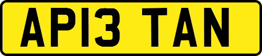 AP13TAN