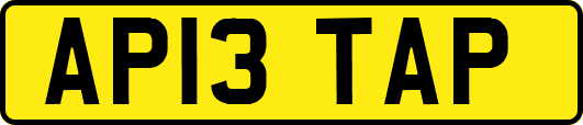 AP13TAP