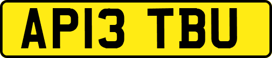 AP13TBU