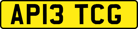 AP13TCG