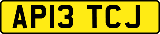 AP13TCJ