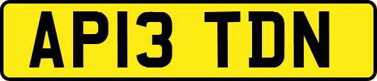 AP13TDN