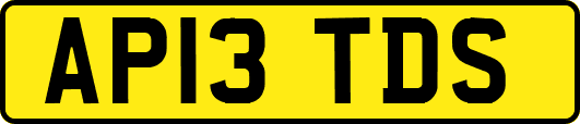 AP13TDS