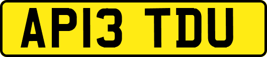 AP13TDU