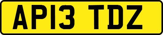 AP13TDZ