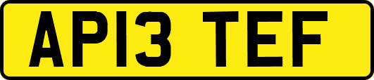 AP13TEF