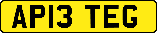 AP13TEG