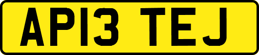 AP13TEJ