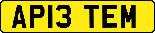 AP13TEM