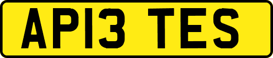 AP13TES