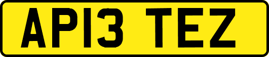 AP13TEZ