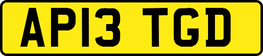 AP13TGD