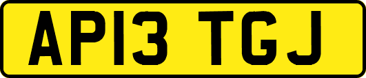 AP13TGJ