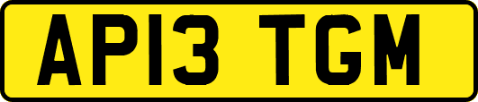 AP13TGM