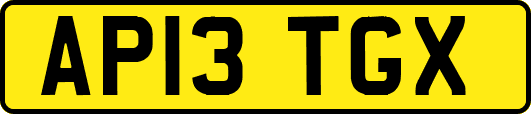 AP13TGX