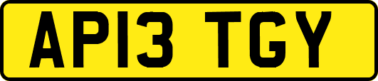AP13TGY