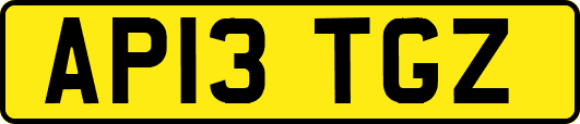AP13TGZ