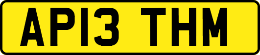 AP13THM