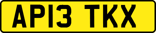 AP13TKX