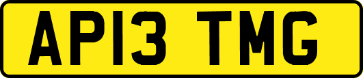 AP13TMG