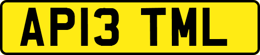 AP13TML