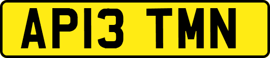 AP13TMN