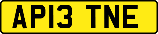 AP13TNE