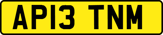 AP13TNM