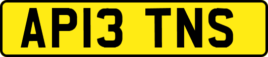 AP13TNS