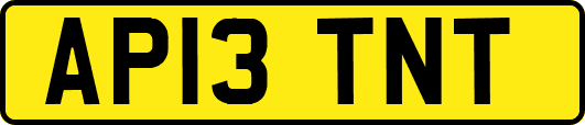 AP13TNT