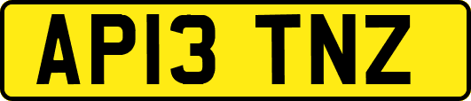 AP13TNZ