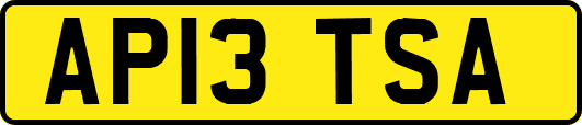 AP13TSA